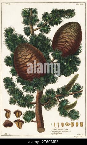 Cedro Libano Cedrus libani Pinus cedrus Linn. Cedre avec tous les details de sa fructification. Incisione a mano su copperplate di Jean Victor Dupin junior di Pierre Joseph Buchoz Herbier Artificial, representant Plus de quinze cents plates, tant Européennes quExotiques, Gogue & ne de la Rochelle, Parigi, 1783. Foto Stock
