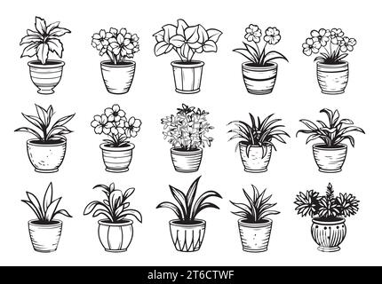 Imposta le illustrazioni in bianco e nero delle piante della casa. Fiori di casa Illustrazione Vettoriale
