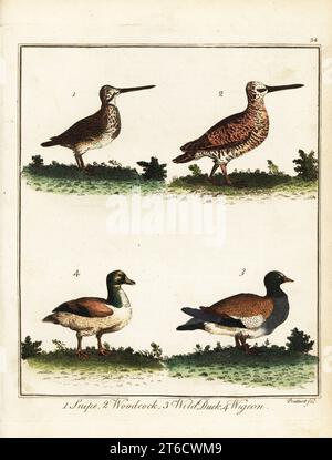 Selvaggina di penna: snipe, Gallinago gallinago 1, becco, Scolopax rusticola 2, anatra selvatica, Anas platyrhynchos 3 e Wigeon, Mareca penelope 4. Incisione su copperplate a mano di Thomas Prattent da William Augustus Osbaldistons The British Sportsman, or Nobleman, Gentleman and Farmers Dictionary of Recreation and Amusement, J. Stead, Londra, 1792. Foto Stock