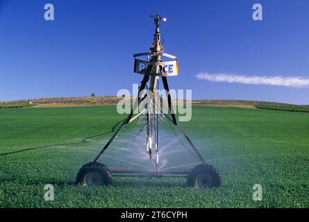 Attrezzature per l'irrigazione, Grant County, Washington Foto Stock