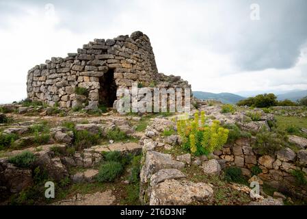 Nuraghe Ardasai - Sardegna - Italia Foto Stock