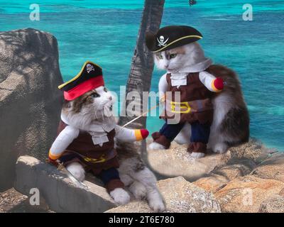 Immagine divertente con i gatti in marionetta Foto Stock