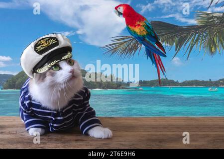 Immagine divertente con i gatti in marionetta Foto Stock