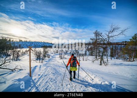 Sci alpinismo vicino Hannukuru open wilderness capanna, Muonio, Lapponia, Finlandia Foto Stock