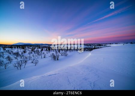 Frenata all'alba a Pahakuru capanna aperta deserto, Muonio, Lapponia, Finlandia Foto Stock