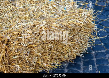 Pile di paglia. Fonte di carburante alternativa. Fonte di carburante alternativa Concept, Biofuel. Trama di paglia. Foto Stock