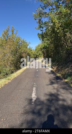 Road in the woods, landscape of the Tuscan-Emilian Apennines Parma Italy Foto Stock