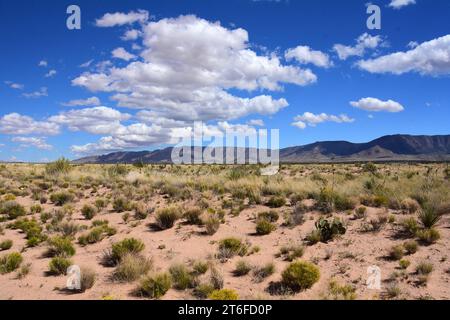 deserto e montagne vicino a terra zero in una giornata di sole al sito trinity, new mexico, Foto Stock