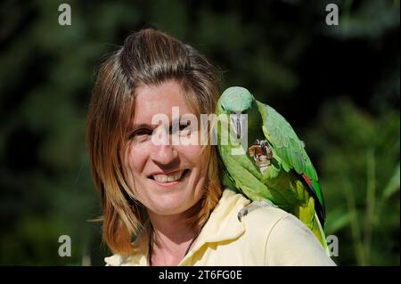 Donna con Salvadori miller amazon (Amazona farinosa virenticeps), Francia Foto Stock