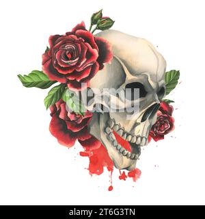 Teschi umani con rose rosse e foglie. Illustrazione ad acquerello disegnata a mano. Composizione isolata su sfondo bianco Foto Stock