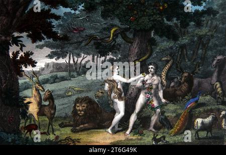 Illustrazione di Eva che tenta Adamo con il frutto proibito nel Giardino dell'Eden dalla Bibbia di famiglia autointerpretante con commento evangelico b Foto Stock