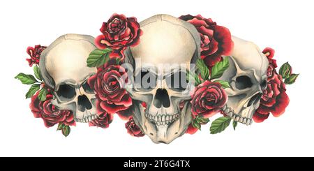 Teschi umani con rose rosse e foglie. Illustrazione ad acquerello disegnata a mano. Composizione isolata su sfondo bianco Foto Stock