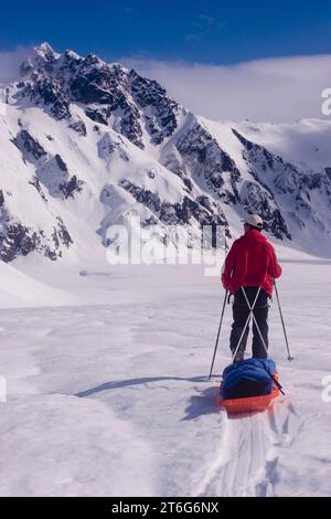 Glacier geologia dottorando sci attraverso il ghiacciaio di Brady, tirando una slitta di apparecchiature geofisiche. Foto Stock