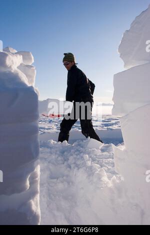 Studente di geologia glaciale PhD costruisce un muro di blocchi di neve intorno alla sua tenda del campo base, Brady Glacier, Glacier Bay National Park, al Foto Stock