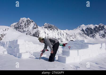 Studente di geologia glaciale PhD costruisce un muro di blocchi di neve intorno alla sua tenda del campo base, Brady Glacier, Glacier Bay National Park, al Foto Stock