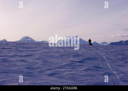 Glacier geologia dottorando sci attraverso il ghiacciaio di Brady, tirando una slitta di apparecchiature geofisiche. Foto Stock