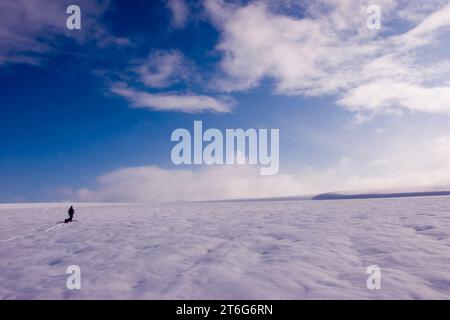 Glacier geologia dottorando sci attraverso il ghiacciaio di Brady, tirando una slitta di apparecchiature geofisiche. Foto Stock