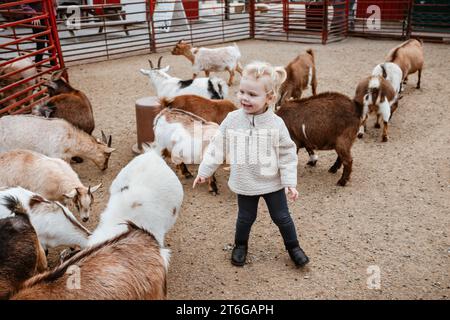 Bambino piccolo allo zoo di animali domestici circondato da capre Foto Stock