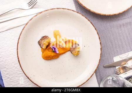 Controfiletto di cervo con purea di patate dolci, vista dall'alto Foto Stock