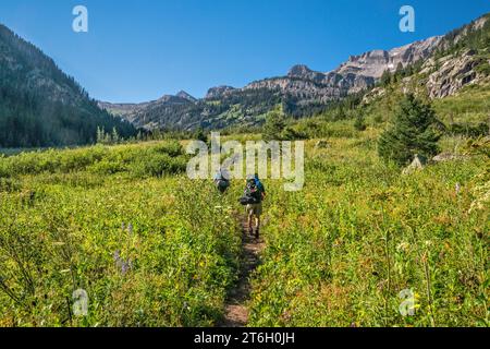 Teton Canyon, escursionisti sul South Teton Trail fino all'Alaska Basin e all'Hurricane Pass, al Wedge in Distance, al Teton Range, alla Jedediah Smith Wilderness, Wyoming Foto Stock