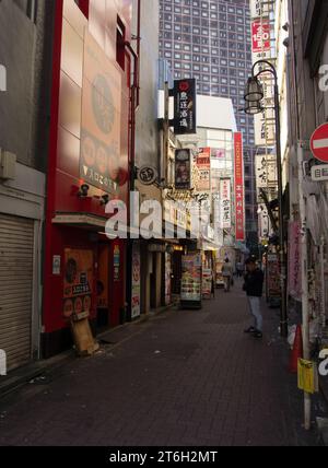 Quartiere Kabukicho a Shinjuku, Tokyo Foto Stock