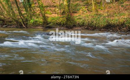 Vista autunnale del fiume Barle che si getta sulle rocce vicino a Dulverton nell'Exmoor National Park, Somerset, Inghilterra, Regno Unito Foto Stock