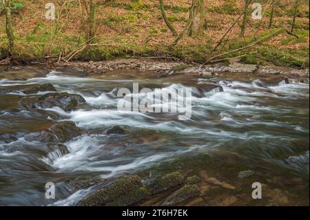 Vista autunnale del fiume Barle che si getta sulle rocce vicino a Dulverton nell'Exmoor National Park, Somerset, Inghilterra, Regno Unito Foto Stock