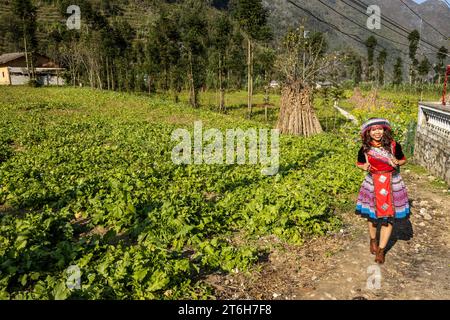 Vecchia donna del Vietnam del Nord Foto Stock