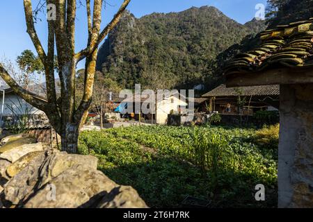 Villaggi e fattorie presso il circuito ha Giang nel Vietnam del Nord Foto Stock