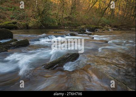 Vista autunnale del fiume Barle che si getta sulle rocce vicino a Dulverton nell'Exmoor National Park, Somerset, Inghilterra, Regno Unito Foto Stock