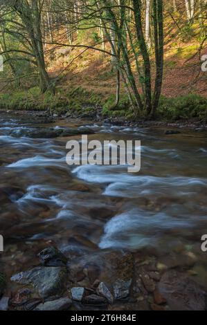 Vista autunnale del fiume Barle che si getta sulle rocce vicino a Dulverton nell'Exmoor National Park, Somerset, Inghilterra, Regno Unito Foto Stock