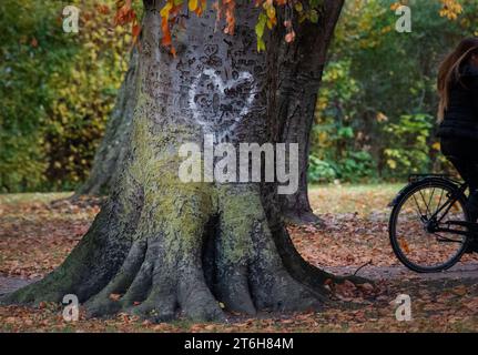 Stralsund, Germania. 10 novembre 2023. Un albero con un cuore dipinto su di esso si trova nel parco Brunnenaue a Stralsund. I meteorologi prevedono condizioni meteorologiche mutevoli per i prossimi giorni. Crediti: Stefan Sauer/dpa/Alamy Live News Foto Stock