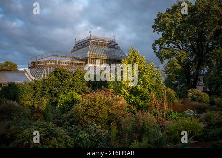 Serra, giardino botanico. Territorio di orangerie nella stagione autunnale Foto Stock