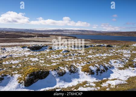 Revoir di mucca verde artificiale, paesaggio alpino con neve primaverile che ospita molte rare specie di piante altopiano e trampolieri di riproduzione, Upper Teesdale, Co Du Foto Stock