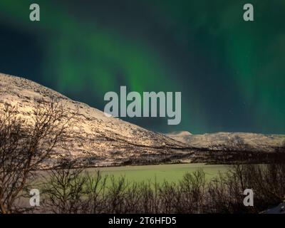 L'aurora boreale sulle montagne intorno a Narvik Foto Stock