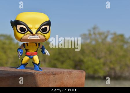 Il Wolverine Foto Stock