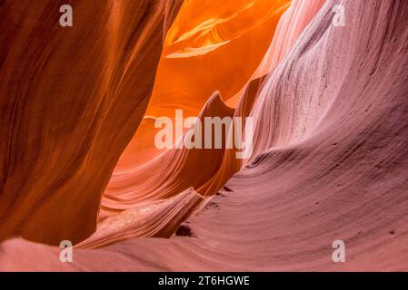 Forme d'onda erose nelle pareti luminose di alto livello del Lower Antelope Canyon, Page, Arizona Foto Stock