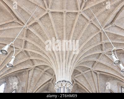 A volta a ventaglio dal pilastro centrale nella casa capitolare della cattedrale cristiana medievale di Lincoln, in Inghilterra. Foto Stock