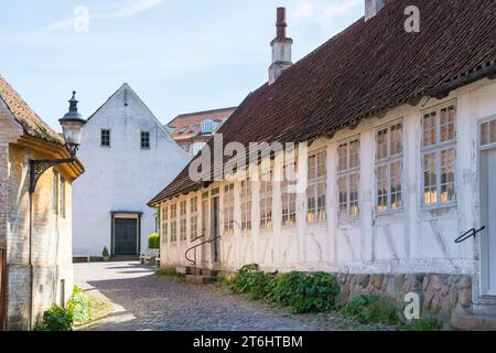 Danimarca, Jutland, Aarhus, museo all'aperto, "Den Gamle By", vicolo, ciottoli Foto Stock