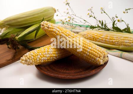 Piatto di argilla con due spighe di mais dolce maturo e asciugamano verde su fondo in legno bianco vintage. Pannocchie con grani bianchi e gialli. Orecchie fresche di mais Foto Stock