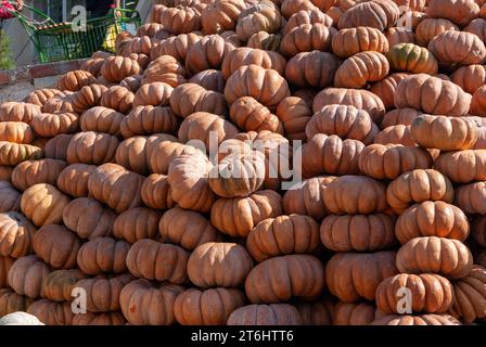 Zucche raccolte pronte per la vendita nel grande mercato di Tashkent, Uzbekistan, 2023 Foto Stock