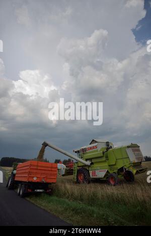 Agricoltura, campo, raccolto, in avvicinamento ai temporali Foto Stock