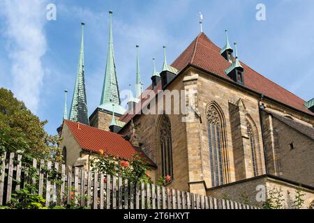 Turingia, Erfurt, città vecchia, collina della cattedrale, St Severi Foto Stock