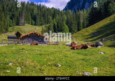 Area escursionistica, Berchtesgadener Land, Königsbachalm, alta Baviera, Germania, Europa Foto Stock