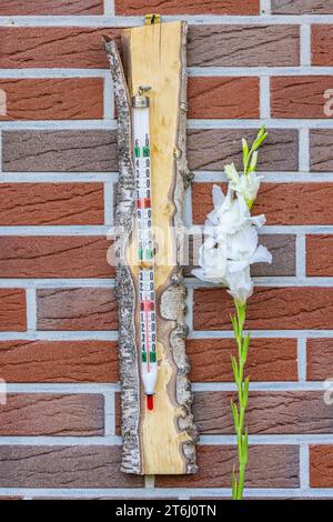 Vecchio termometro a mercurio in una cornice di legno su una parete di casa con gladiolus Foto Stock