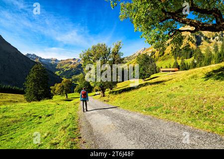 Camminate lungo il tragitto nel pittoresco paesaggio montano nelle soleggiate giornate autunnali. Valle di Hintersteiner, Alpi di Allgäu, Baviera, Germania, Europa Foto Stock