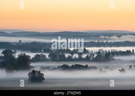 La nebbia del mattino presto sul Radolfzeller Aachried, dietro di esso il lago di Costanza con la città di Radolfzell, distretto di Costanza, Baden-Wuerttemberg Foto Stock