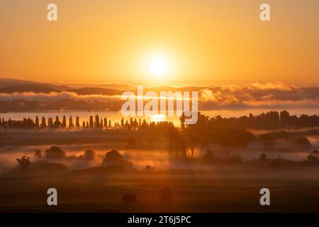 Nebbia mattutina con alba sul Radolfzeller Aachried, lago di Costanza alle spalle, Radolfzell, distretto di Costanza, Baden-Württemberg, Germania, Euro Foto Stock