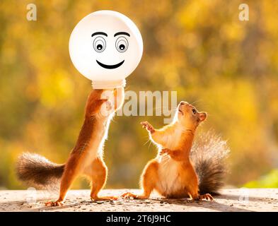 Red Squirrel con la faccia in un globo Foto Stock