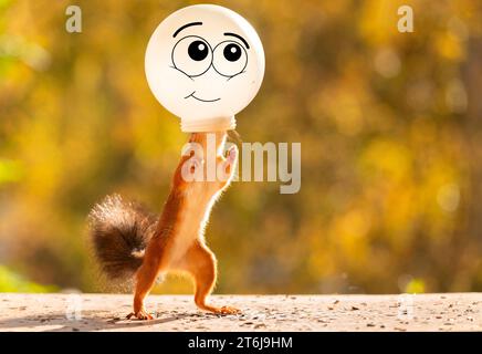 Red Squirrel con la faccia in un globo Foto Stock